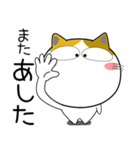 猫三昧★トラブル対応（再販）（個別スタンプ：39）