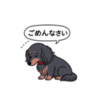 名前入りダックス：ロングブラタン（個別スタンプ：2）