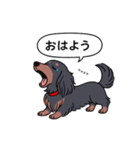 名前入りダックス：ロングブラタン（個別スタンプ：3）