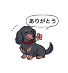 名前入りダックス：ロングブラタン（個別スタンプ：5）