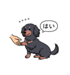 名前入りダックス：ロングブラタン（個別スタンプ：6）