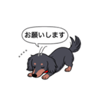 名前入りダックス：ロングブラタン（個別スタンプ：7）