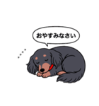 名前入りダックス：ロングブラタン（個別スタンプ：9）