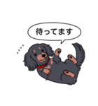 名前入りダックス：ロングブラタン（個別スタンプ：10）