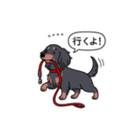 名前入りダックス：ロングブラタン（個別スタンプ：11）
