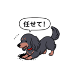 名前入りダックス：ロングブラタン（個別スタンプ：15）