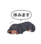 名前入りダックス：ロングブラタン（個別スタンプ：16）