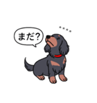 名前入りダックス：ロングブラタン（個別スタンプ：20）