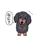 名前入りダックス：ロングブラタン（個別スタンプ：22）