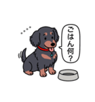 名前入りダックス：ロングブラタン（個別スタンプ：24）