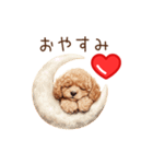 愛を伝えるトイプードル（個別スタンプ：5）