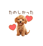 愛を伝えるトイプードル（個別スタンプ：8）