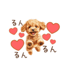 愛を伝えるトイプードル（個別スタンプ：15）