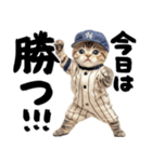野球応援♡にゃんこ（個別スタンプ：3）