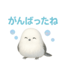 ふわもこシマエナガ*ホログラム仕様（個別スタンプ：30）