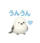 ふわもこシマエナガ*ホログラム仕様（個別スタンプ：37）