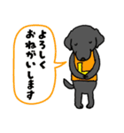 ラブラドールな犬たち・丁寧語（個別スタンプ：5）
