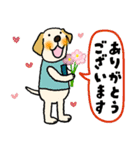 ラブラドールな犬たち・丁寧語（個別スタンプ：6）