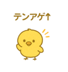 ぴよんスタンプ第二弾（個別スタンプ：6）