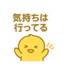 ぴよんスタンプ第二弾（個別スタンプ：37）