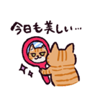 茶トラ猫です（個別スタンプ：1）