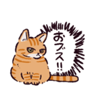 茶トラ猫です（個別スタンプ：2）