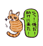 茶トラ猫です（個別スタンプ：3）