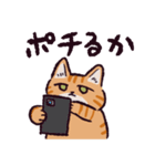 茶トラ猫です（個別スタンプ：4）