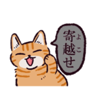 茶トラ猫です（個別スタンプ：7）