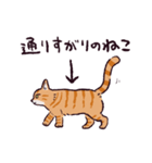 茶トラ猫です（個別スタンプ：16）