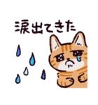茶トラ猫です（個別スタンプ：18）