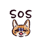 茶トラ猫です（個別スタンプ：20）