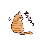 茶トラ猫です（個別スタンプ：24）