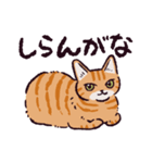 茶トラ猫です（個別スタンプ：25）