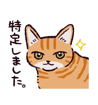 茶トラ猫です（個別スタンプ：26）