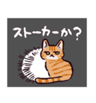 茶トラ猫です（個別スタンプ：27）