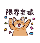 茶トラ猫です（個別スタンプ：29）