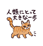 茶トラ猫です（個別スタンプ：30）