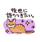 茶トラ猫です（個別スタンプ：31）