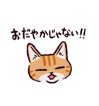 茶トラ猫です（個別スタンプ：32）