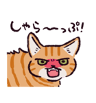 茶トラ猫です（個別スタンプ：34）