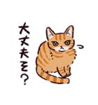 茶トラ猫です（個別スタンプ：37）