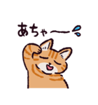 茶トラ猫です（個別スタンプ：38）