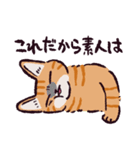 茶トラ猫です（個別スタンプ：39）