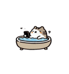 お風呂猫 OK,（個別スタンプ：27）