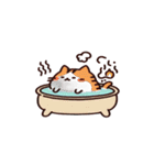 お風呂猫 OK,（個別スタンプ：31）