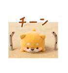 ▶動く3D❤️いやしばいぬ❤️夏と海/柴犬（個別スタンプ：15）