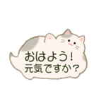 もふネコ吹き出し 優しい毎日（個別スタンプ：2）