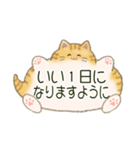 もふネコ吹き出し 優しい毎日（個別スタンプ：3）