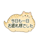 もふネコ吹き出し 優しい毎日（個別スタンプ：6）